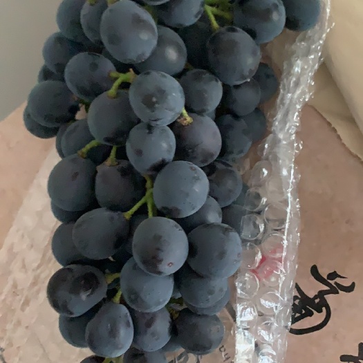 新沂市玫瑰香葡萄 夏黑巨峰都有