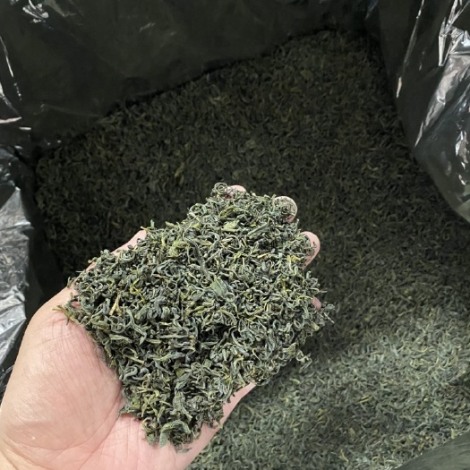 天津 高山云雾绿茶