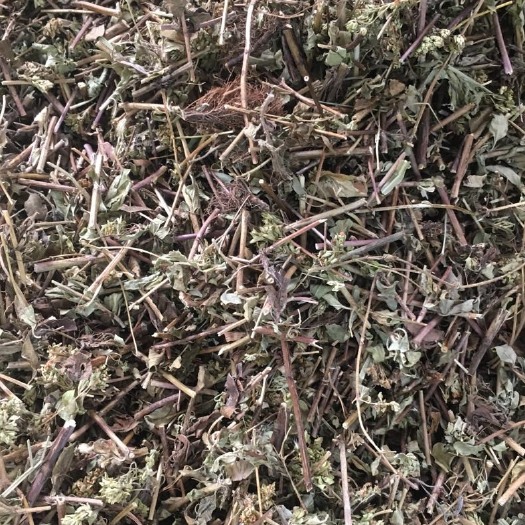 大货供应｛土茵陈｝可批量可零售量大从优【包邮】
