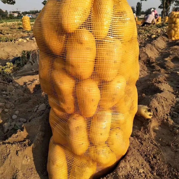  [精选土豆]荷兰十五土豆无虫眼无青头黄心黄皮万亩基地