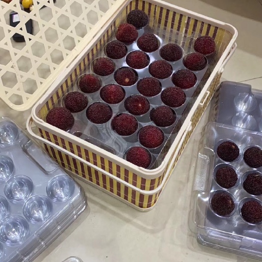 余姚市 余姚杨梅 特产水果 荸荠杨梅 余姚荸荠杨梅