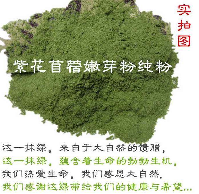 苜蓿草种子 牧草之王——紫花苜蓿