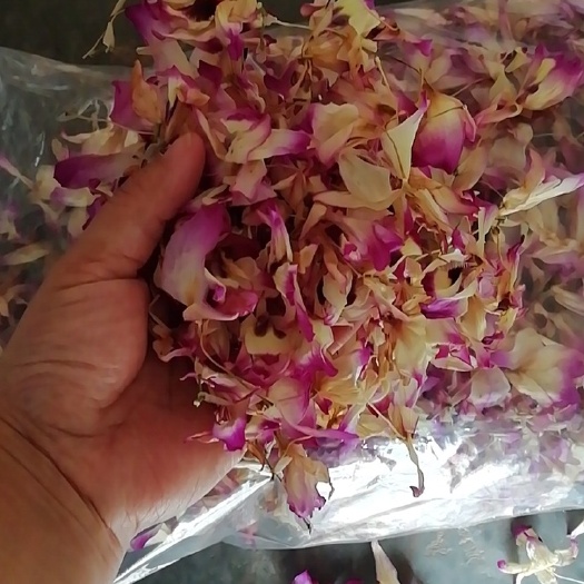 成都 金钗干花