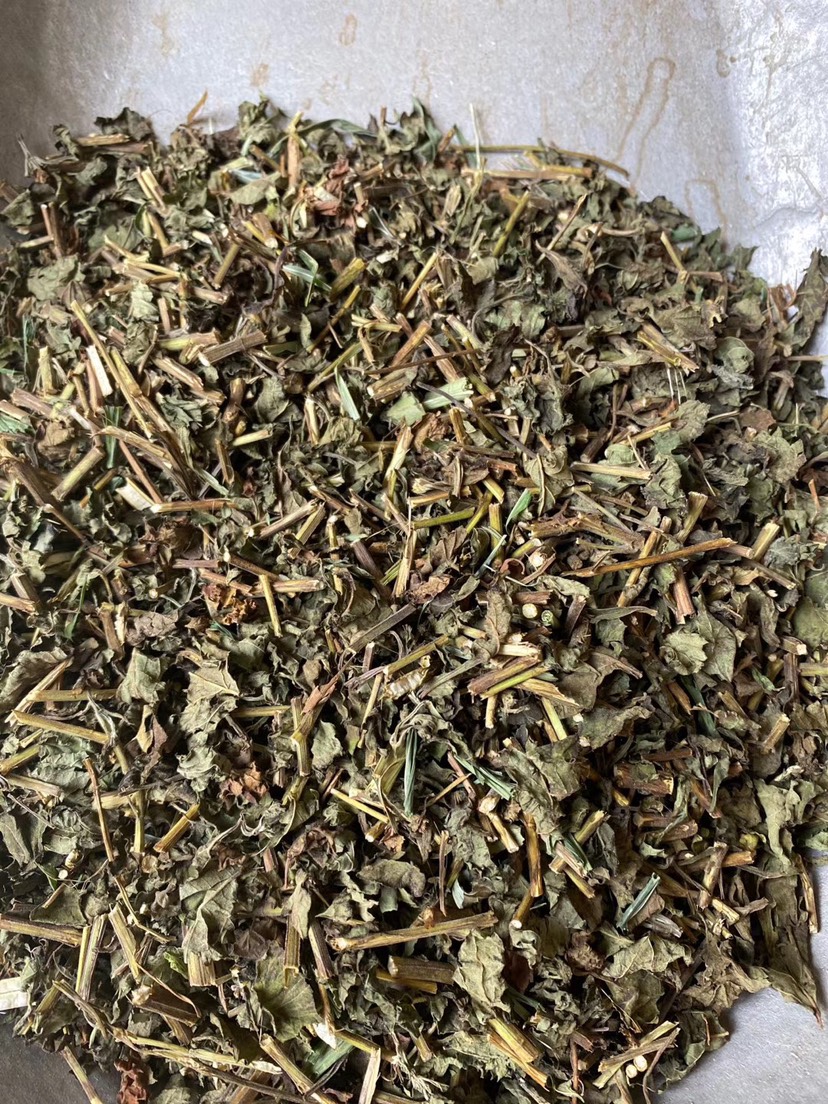 冷背药材冬凌草大货，批发中药，批发花茶