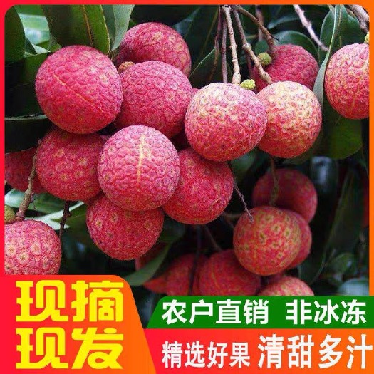 惠来县 正宗潮汕乌叶荔枝促销中，30元5斤包邮，新鲜现场现摘现发
