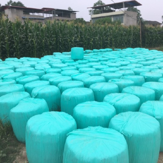 重庆市玉米青贮  散料，袋料，新鲜，无霉菌，口感纯正