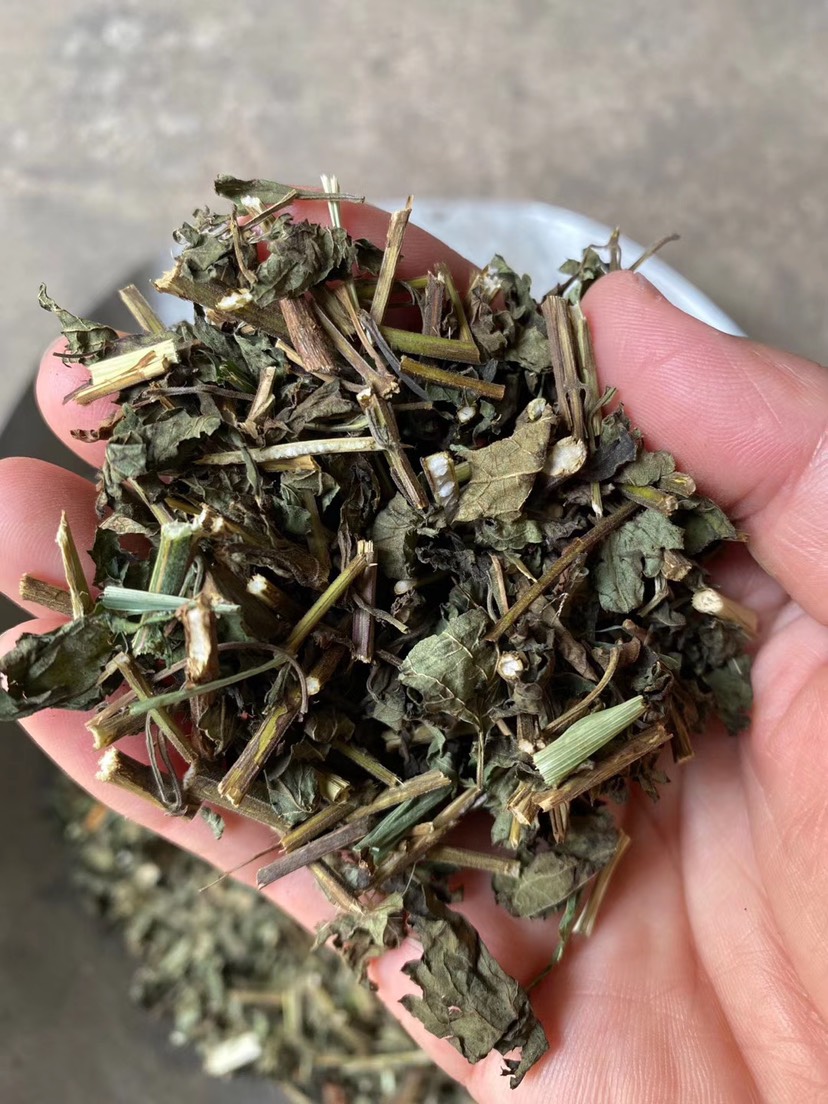冷背药材冬凌草大货，批发中药，批发花茶