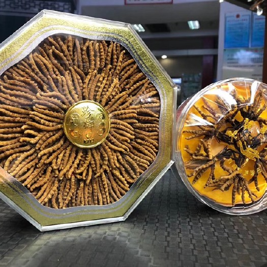 亳州 那曲虫草送礼冬虫夏草，西藏青海虫草，一件代发
