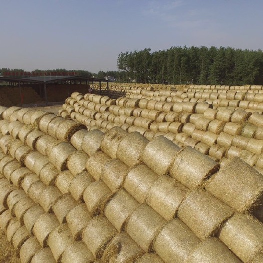 固镇县小麦秸秆厂家加工供应秸秆饲料 大包小包 二次加工粉碎除尘柔