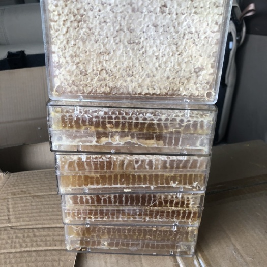 淄博可以嚼这吃的新鲜纯正意蜂蜂巢蜜一件代发自产自销