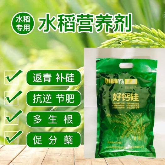 东海县 水稻返青肥硅肥水稻专用硅肥返青控旺促分裂增产肥苗壮苗