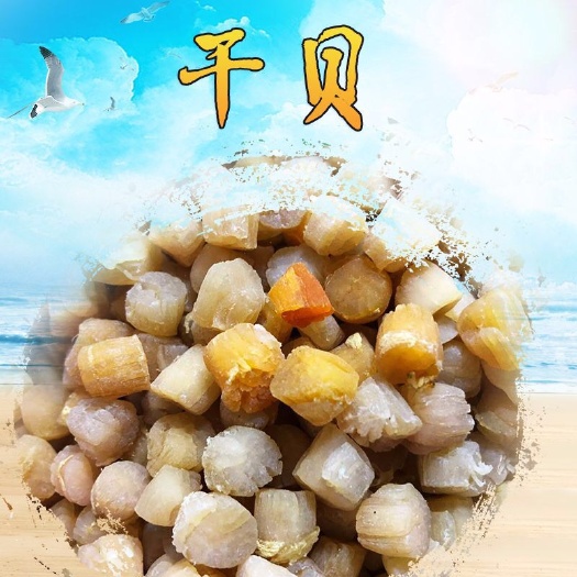 湛江干贝元贝 厂家直销 瑶柱干贝淡晒干贝 优质海产干货