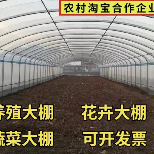 沭阳县养殖大棚 温室骨架钢架大棚单体棚种植棚养殖保温棚连体棚暖棚