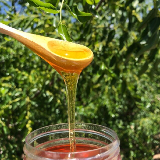 襄樊 土蜂蜜百花蜜中蜂蜜天然蜂蜜