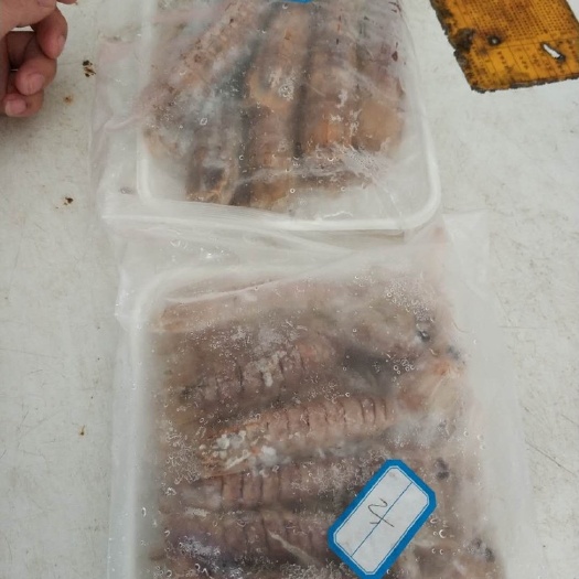 防城港 自家拿货的皮皮虾，和大鱼干，鱼干也是自己晒的什么鱼都有