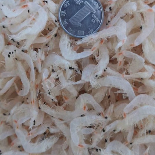滨州 虾皮 无盐虾皮 流水线。 一手货源