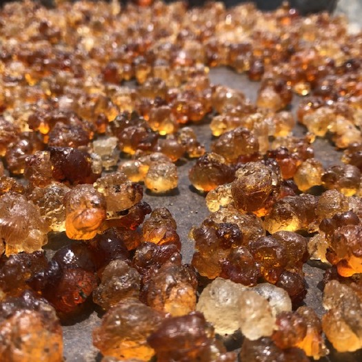 随县 摘桃胶，天然，没有任何加工！