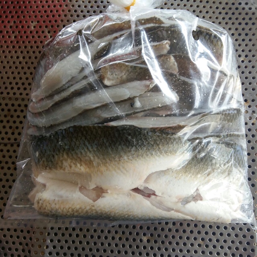 新鲜鲮鱼肉 新鲜冷冻鱼肉 下单即宰冷链发货24小