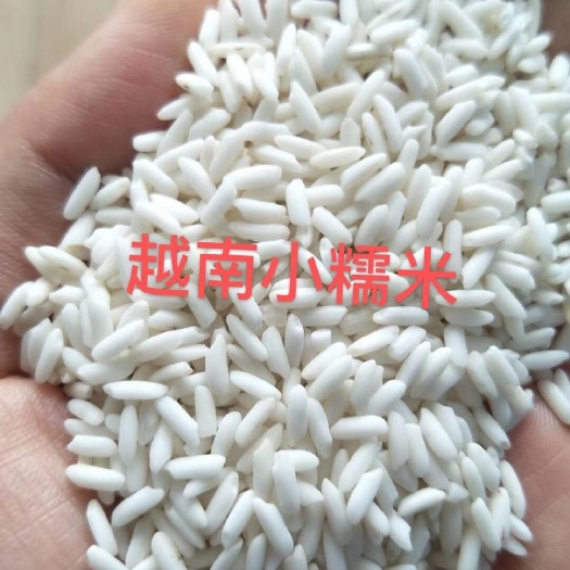 深圳 越南长糯米圆糯米碎糯米