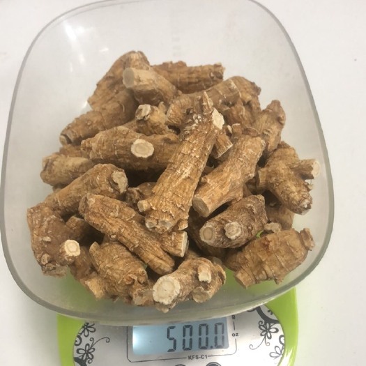 深圳 15g粒头，西洋参各类规格都有大货供应，懂货的来！产地直