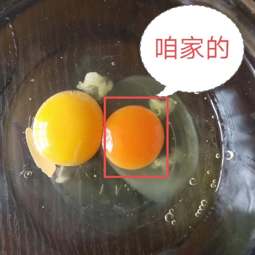 赤峰红心蛋 食用 箱装