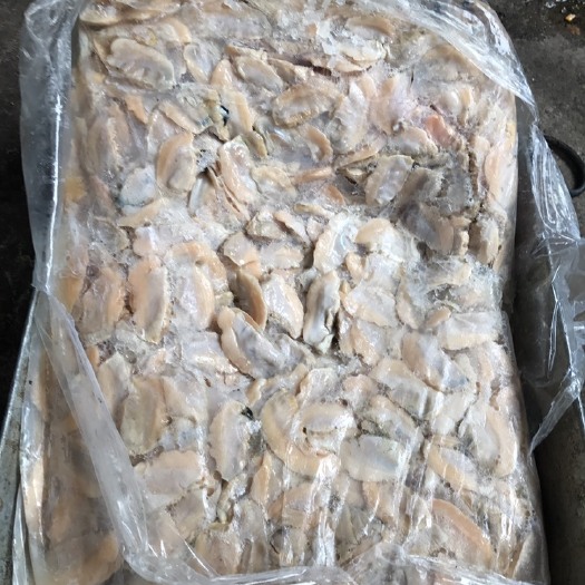 诸暨市冷冻蚌肉 肉感佳，蛋白质含量高，食用方便河蚌肉