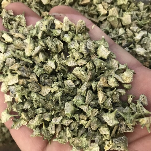 亳州蒺藜  白蒺藜
