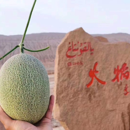 吐鲁番 新疆吐鲁番火焰山哈密瓜一件代发落地配社区团购
