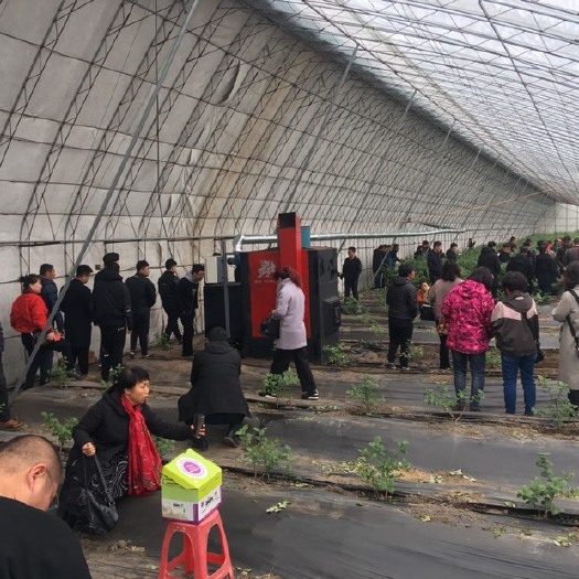丹东锅炉 大棚全自动化热风炉