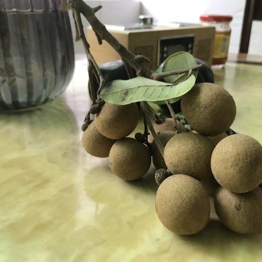 海口 海南新鲜龙眼 储良品种