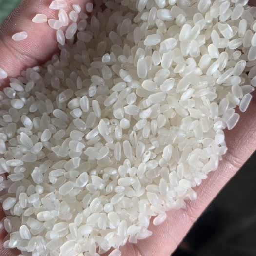 怀远县珍珠米  20年安徽本地粳米，优惠米的，超市，食堂用米的。