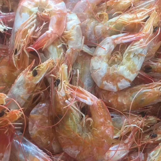 连云港东方对虾  5-7钱