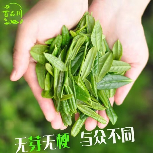 新茶六安瓜片香而不涩，浓而不苦，回味甘甜！