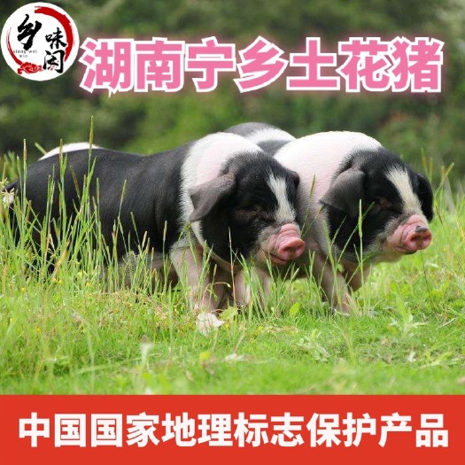 宁乡市 乡味闵 宁乡土花猪 农家自养熟食喂养土猪肉