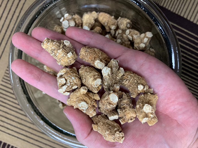  加拿大西洋参，粒头5g粒头