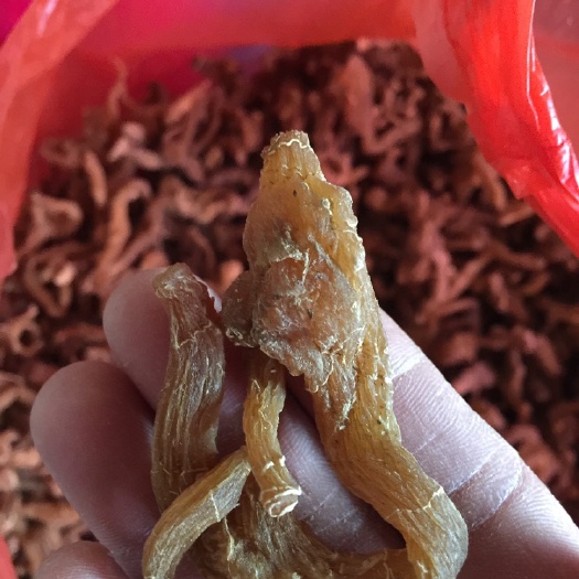 武山县黄精