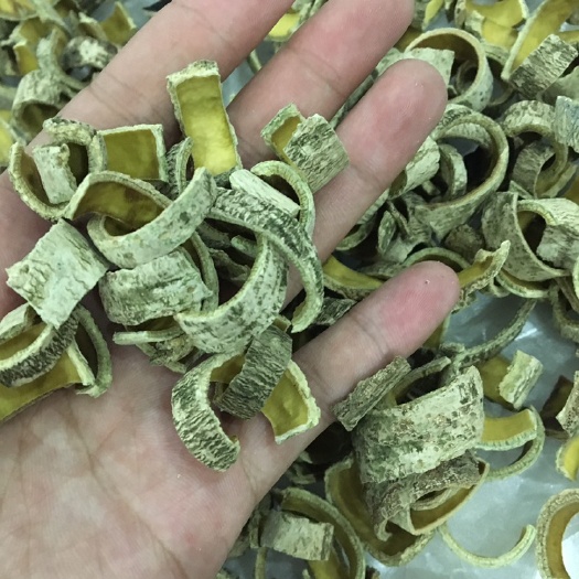 岑溪市 龙胆树皮，清热、排毒