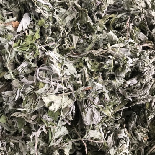 艾草  艾叶