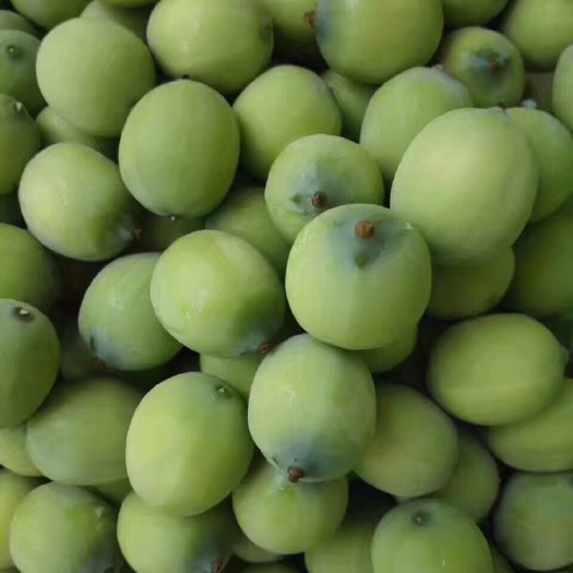 瑞金市 新鲜莲子