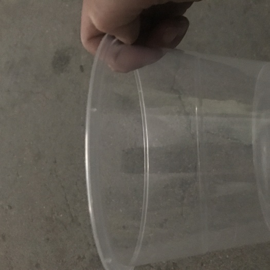 桂东县透明盒 厂家直销一次性饭盒，各种型号一次性白代子