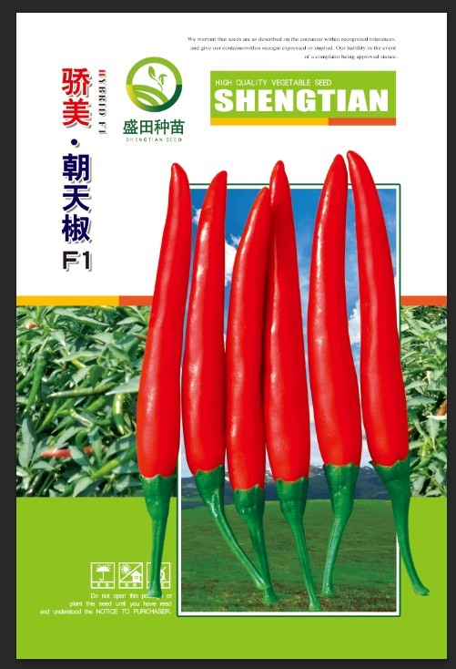 骄美朝天椒种子一代杂交超辣四季种植朝天椒品种亩产
