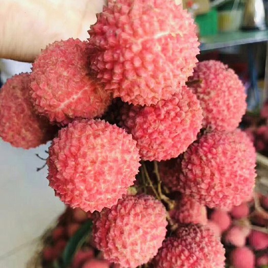 广州桂味荔枝 2cm