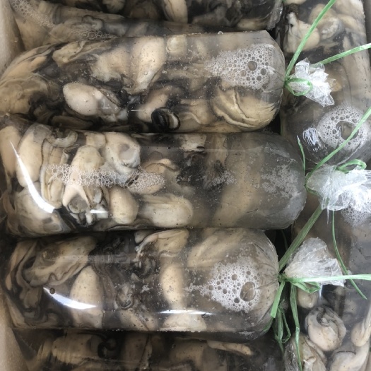 饶平县新鲜生蚝肉鲜活牡蛎肉现剥去壳海蛎子汫洲大蚝之乡蚝仔肉批发