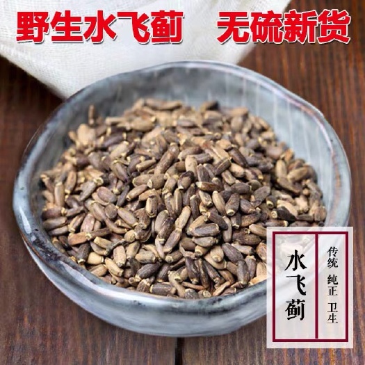 水飞蓟 正品！无硫新货！干净无杂质！品质保证！包邮到家！！