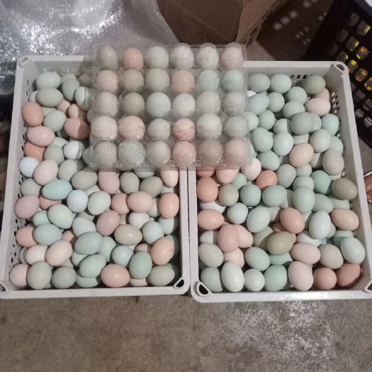 石屏县土鸡蛋 食用 箱装