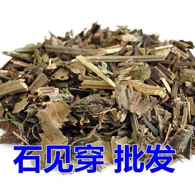 定州市 正品！无硫新货！石见穿 干净无杂质！包邮到家！品质保证