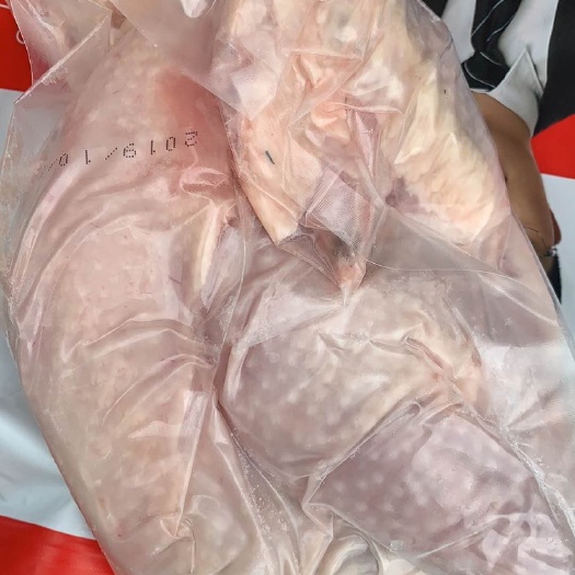 贵阳 大量白条鸡出售，量大优惠到你怀疑人生