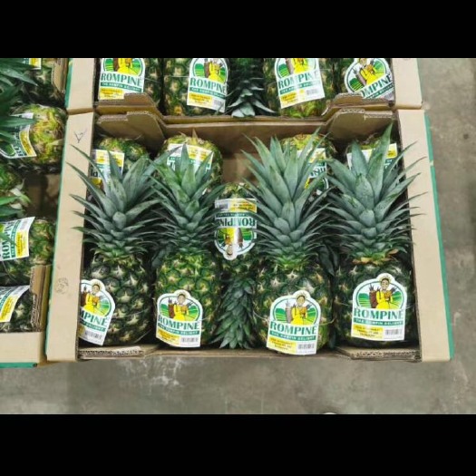 上海都乐金菠萝 马来西亚凤梨
