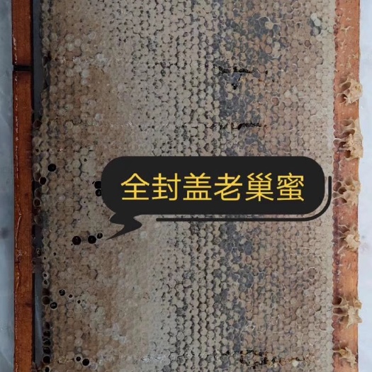淄博 秦岭山脉成熟蜂巢蜜好资源出好蜜，支持一件代发