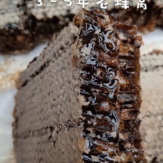 淄博老蜂巢蜜正宗深山树洞蜂巢蜜现割现卖数百种花粉酿造质优价低